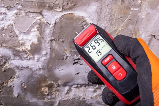 Best Basement Mold Remediation in Granby, MO