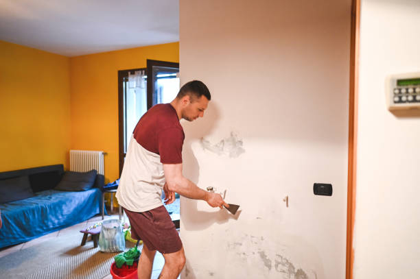 Best Residential Mold Remediation in Granby, MO